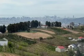 იყიდება მიწის ნაკვეთი, სასოფლო - სამეურნეო, თხილნარი