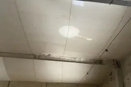 იყიდება, საწარმოო ფართი, ლილო