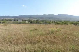 Продается Земля, Сельскохозяйственные, Арашенда