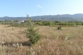 Продается Земля, Сельскохозяйственные, Арашенда