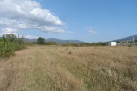 Продается Земля, Сельскохозяйственные, Арашенда