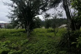 იყიდება სახლი, 4 ოთახიანი, ბორჯომი, ბაკურიანი