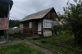 იყიდება სახლი, 4 ოთახიანი, ბორჯომი, ბაკურიანი