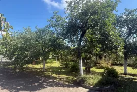 Аренда Дома, 9 Kомнатная, Озургетский район, Шемокмеди