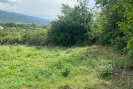 იყიდება მიწის ნაკვეთი, სასოფლო - სამეურნეო, ბიჩნიგაური