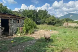 იყიდება მიწის ნაკვეთი, სასოფლო - სამეურნეო, ბიჩნიგაური