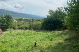 იყიდება მიწის ნაკვეთი, სასოფლო - სამეურნეო, ბიჩნიგაური