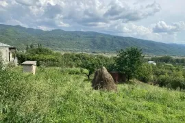 იყიდება მიწის ნაკვეთი, სასოფლო - სამეურნეო, ბიჩნიგაური