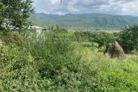 იყიდება მიწის ნაკვეთი, სასოფლო - სამეურნეო, ბიჩნიგაური