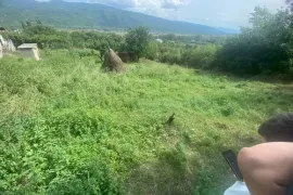 იყიდება მიწის ნაკვეთი, სასოფლო - სამეურნეო, ბიჩნიგაური