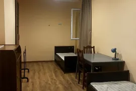 House For Rent, 1 Room, Tbilisi, Nadzaladevi