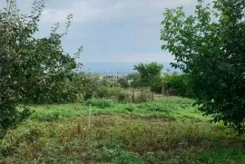 Продается Земля, Сельскохозяйственные, Варкетили