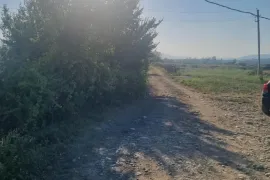 Land For Sale, Commercial