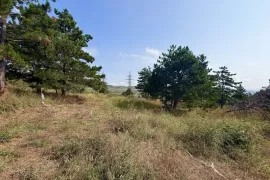 Land For Sale, Agricultural, Lisi lake