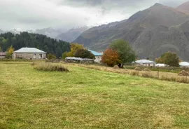Land For Sale, Agricultural, Sioni