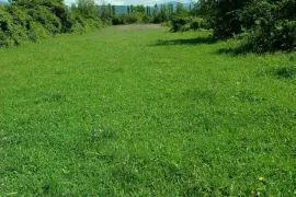 Land For Sale, Agricultural, Misaqtsieli
