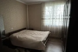 იყიდება სახლი, 5 ოთახიანი, დუშეთი, ბაზალეთი 