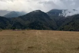 Land For Sale, For Investment, Mzetamze