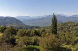 იყიდება მიწის ნაკვეთი, სასოფლო - სამეურნეო, პატარა ონი