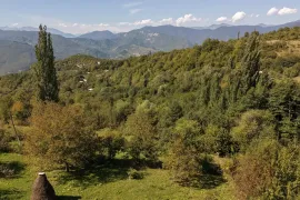 იყიდება მიწის ნაკვეთი, სასოფლო - სამეურნეო, პატარა ონი