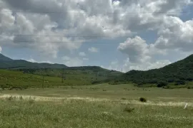 იყიდება მიწის ნაკვეთი, სასოფლო - სამეურნეო