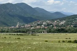 იყიდება მიწის ნაკვეთი, სასოფლო - სამეურნეო