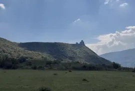 იყიდება მიწის ნაკვეთი, სასოფლო - სამეურნეო