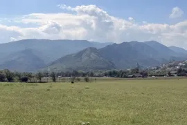 იყიდება მიწის ნაკვეთი, სასოფლო - სამეურნეო