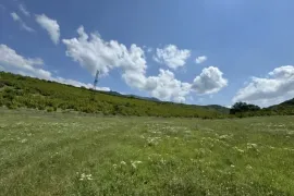 იყიდება მიწის ნაკვეთი, სასოფლო - სამეურნეო