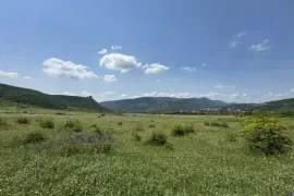 იყიდება მიწის ნაკვეთი, სასოფლო - სამეურნეო