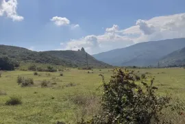 იყიდება მიწის ნაკვეთი, სასოფლო - სამეურნეო