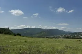იყიდება მიწის ნაკვეთი, სასოფლო - სამეურნეო