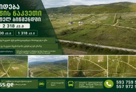 იყიდება მიწის ნაკვეთი, სასოფლო - სამეურნეო, ბიწმენდი