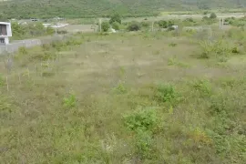 იყიდება მიწის ნაკვეთი, სასოფლო - სამეურნეო, ბიწმენდი