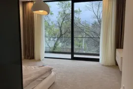 ქირავდება სახლი, 7 ოთახიანი, თბილისი, ბაგები