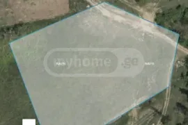 იყიდება მიწის ნაკვეთი, სასოფლო - სამეურნეო, ლილო
