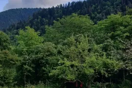 Land For Sale, Agricultural, Sadgeri