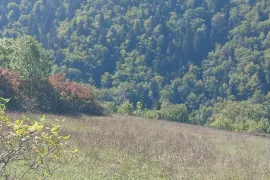 Land For Sale, Agricultural, Sadgeri