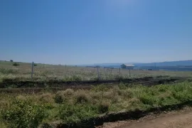 Продается Земля, Сельскохозяйственные, Тбилисское море