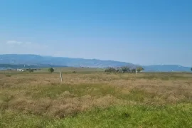 Продается Земля, Сельскохозяйственные, Тбилисское море