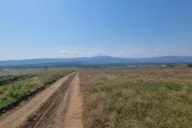 Продается Земля, Сельскохозяйственные, Тбилисское море
