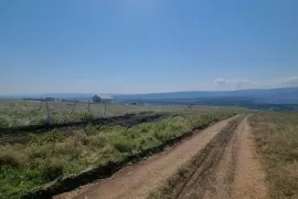 Продается Земля, Сельскохозяйственные, Тбилисское море