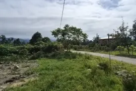 Land For Sale, Agricultural, Khutsubani