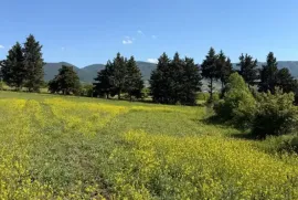 Land For Sale, Non Agricultural, Jighaura