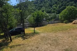 იყიდება სახლი, 3 ოთახიანი, ბორჯომი, ტიმოთესუბანი