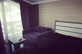 იყიდება სახლი, 3 ოთახიანი, ბორჯომი, ბაკურიანი