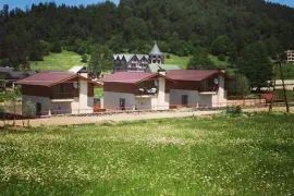 იყიდება სახლი, 3 ოთახიანი, ბორჯომი, ბაკურიანი