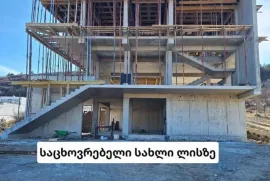 გამოცდილი მონოლითის ბრიგადა
