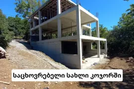 გამოცდილი მონოლითის ბრიგადა