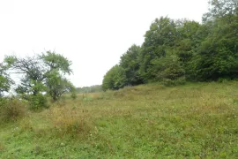 Land For Sale, Agricultural, Gombori